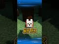 犬の家を爆発させた理由...😭✨#shorts