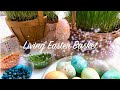 Living Easter Basket, wheatgrass &amp; eggs