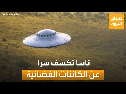 فيديو: الاكتشافات الأثرية في سيبيريا