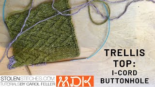 Trellis Top: I-Cord Buttonhole