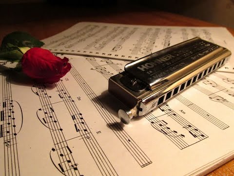 The Harmonica King Reigns Supreme at University Competition