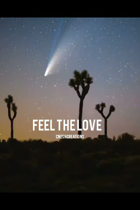 Ennai nokki paayum thotta love bgm WhatsApp status created by CneshCreations