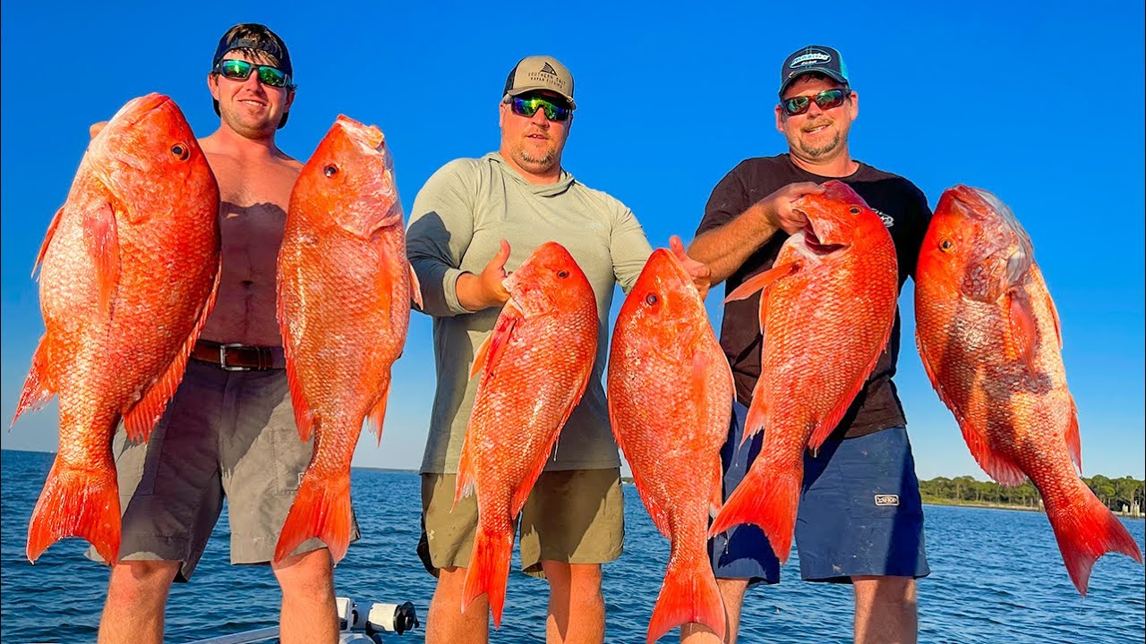 Alabama Red Snapper Opening Day ** THIS BAIT CAUGHT MONSTERS