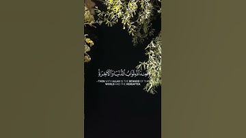 مَّن كَانَ يُرِيدُ ثَوَابَ الدُّنْيَا. الشيخ ماهر_المعيقلي :سورة النساء - الآية 134.
