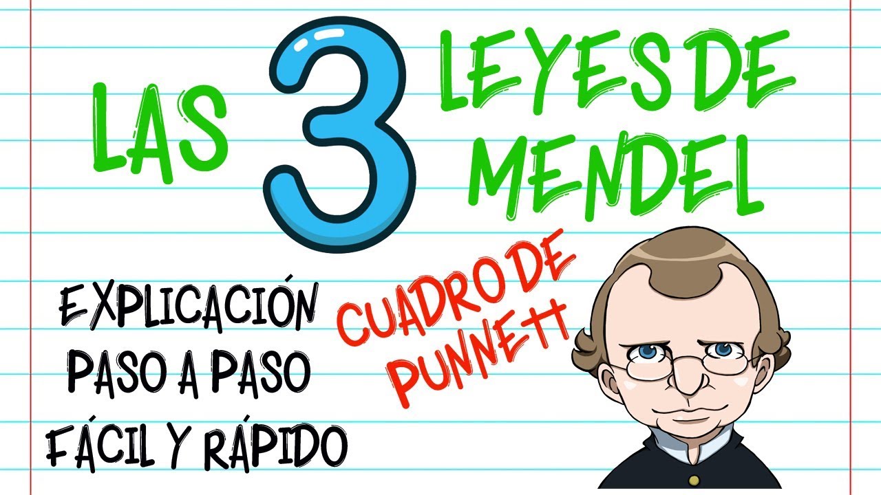 LAS LEYES DE MENDEL CUADRO DE PUNNETT  PASO A PASO EXPLICACIN  Fcil y Rpido  BIOLOGA 