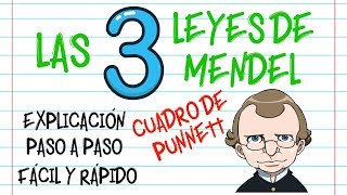 🌿LAS LEYES DE MENDEL, CUADRO DE PUNNETT PASO A PASO, EXPLICACIÓN [Fácil y Rápido] | BIOLOGÍA |