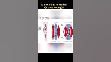 GRANDCARE - TẠI SAO KHÔNG NÊN NGƯNG VẬN ĐỘNG ĐỘT NGỘT #nguoigia #nguoicaotuoi #khoahoc #khampha