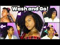 Fall 2020 Wash and Go Routine - Full Wash Day Start to Finish for Type 4 Naturals!