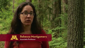 Forest and Natural Resource Management at the University of Minnesota (4min)