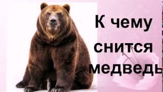 К чему снится медведь Сонник от Ирины К чему снится медведь Сонник от Ирины