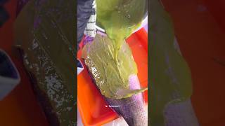 Hana Core, Seperti Mimpi Saat Demam