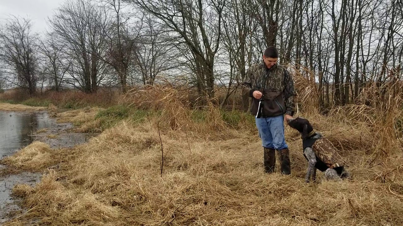 Working with Marshall at the duck lease. YouTube