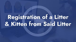 Registration of a Litter & Kitten from Said Litter