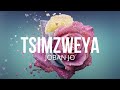 Djoban-djo TSIMZWEYA (Officiel Lyrics Vidéo)