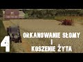 Powrót na gospodarstwo #4 - Orkanowanie po rzepaku i żniwa z Bizonem