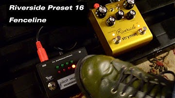 Pilot Wave™ presets for Strymon Riverside