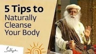 5 Tips to Naturally Cleanse Your Body at Home – Sadhguru