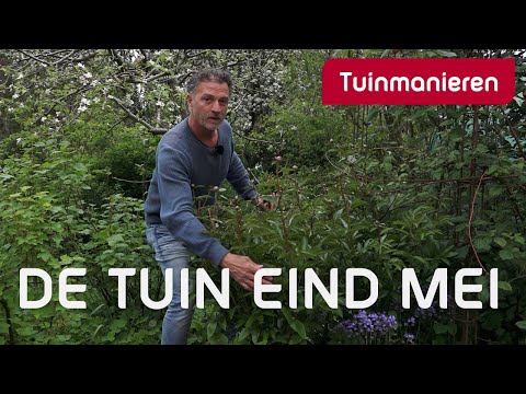 Wat doe je in de tuin eind mei? | Tuinieren 2021 | Tuinmanieren