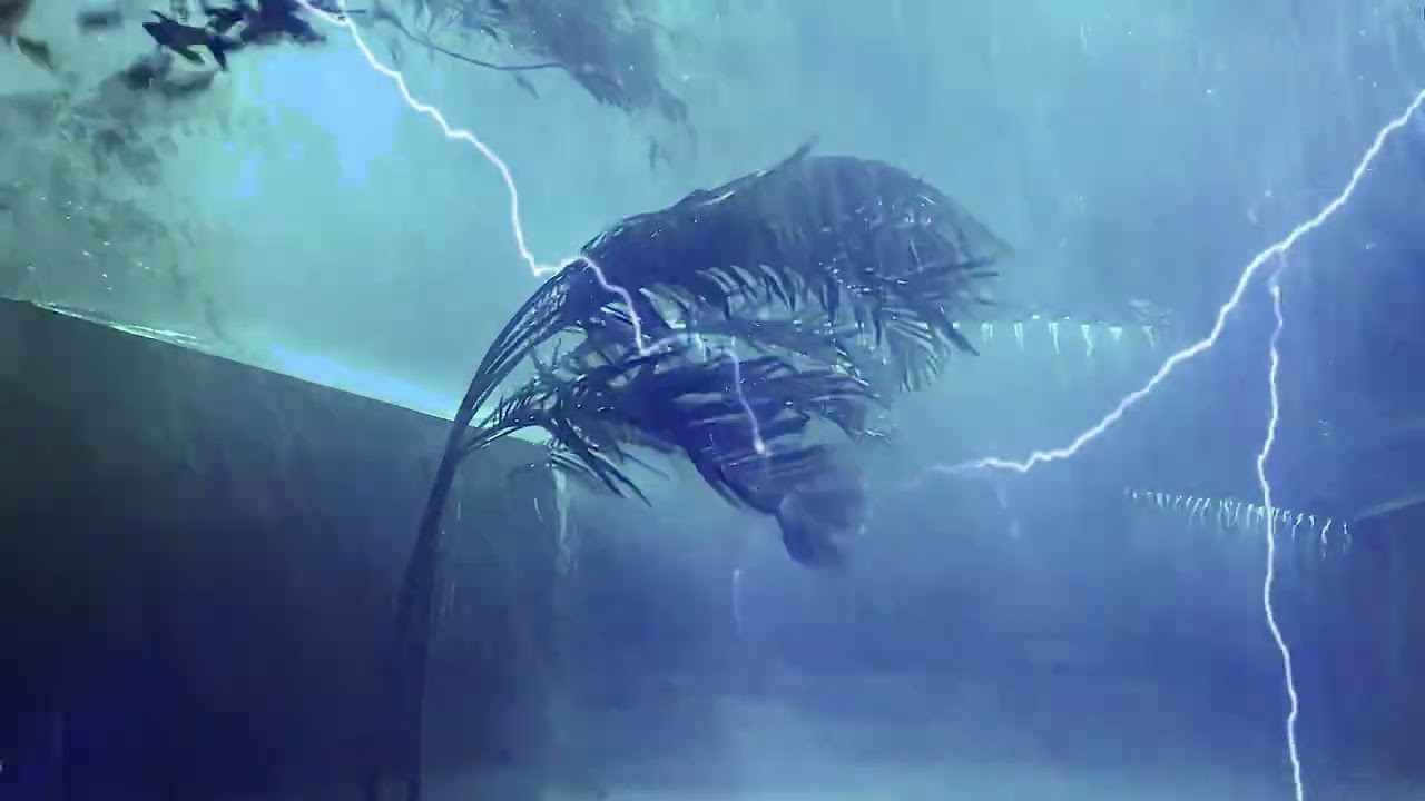 Goodbye Stress to Sleep Soundly with Mighty Tropical Storm, Heavy Rain, Strong Wind & Thunder Sounds