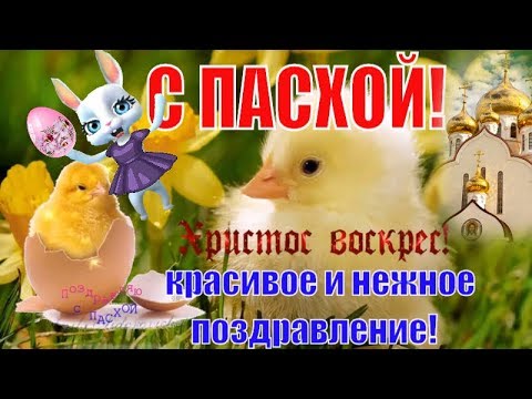 Красивые поздравления и пожелания С Пасхой  Христос Воскресе! Воистину Воскресе!