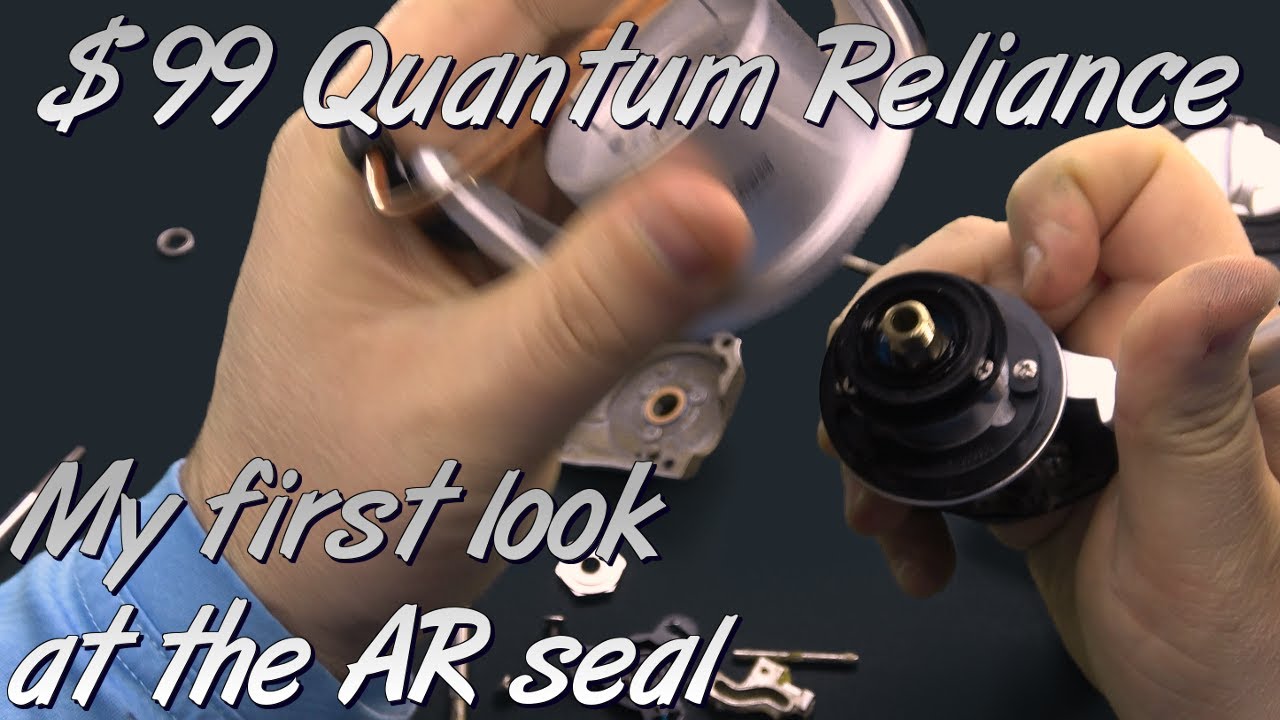 99$ Fully sealed reel? NEW Quantum Reliance - MY first look at the