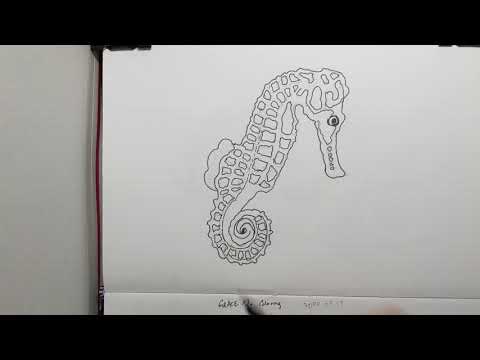 Coloring Seahorse - YouTube