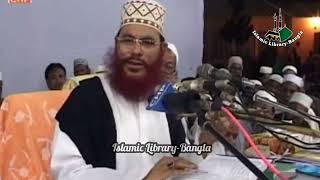 Allama Delwar Hossain Saidi Whatsapp Status Islamic Whatsapp Motivational Status