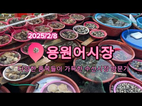 [다양한 품목이 가득한 경남 창원 진해 용원어시장 수산시장 방문/구경] 수산물 정보 국내여행 횟집 조개탕 그날의수산시장