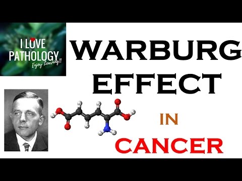 Vidéo: Théorie Biochimique D'Otto Warburg