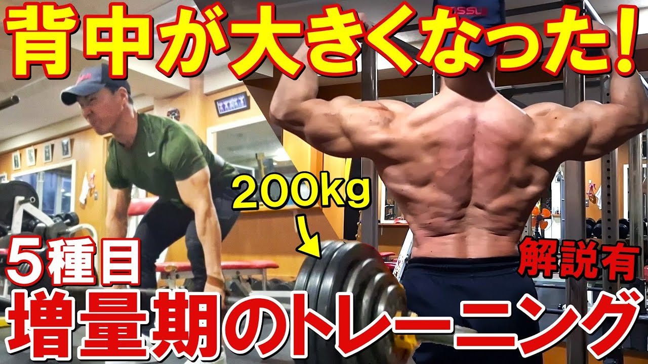 【筋トレ】背中の筋肉がついてデッドリフトが更新出来た！5種目で広背筋や僧帽筋を鍛える増量期のトレーニング【解説有】