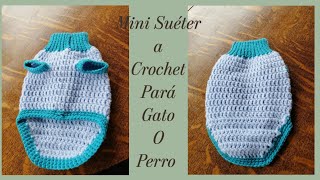 Suéter para Gatos con un cuello elástico fácil y rápido/ DIY