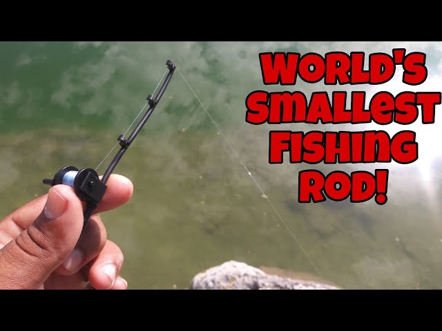 World's Smallest Fishing Rod Catches BIG FISH! 