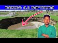 Mexico A.a Naptroma | BB Shorts