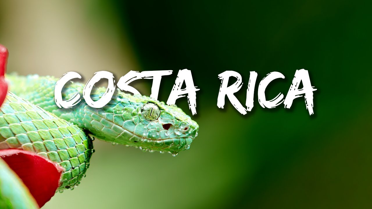 ⁣COSTA RICA IN 4K 60fps HDR (ULTRA HD)