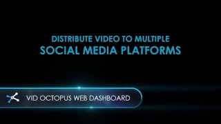How to use Vid Octopus Dashboard