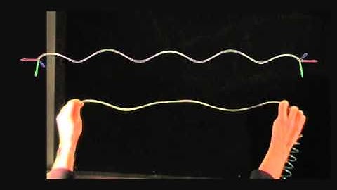 Discrete Elastic Rods