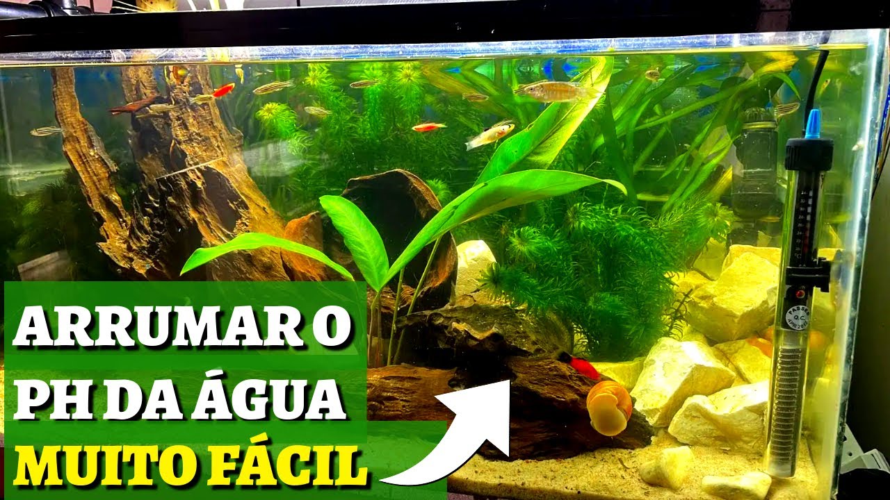 AJUSTE O pH DO SEU AQUÁRIO NATURALMENTE – ACIDO, NEUTRO OU ALCALINO SEM ESFORÇO!