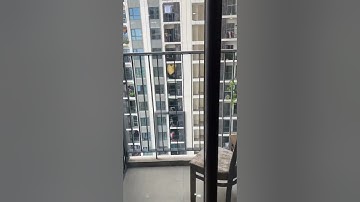 Cho thuê chung cư Hà Đô 3/2 Quận 10 #chothuehado #hadocentrosa #chungcuhado