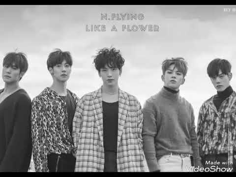 N.Flying – Like a Flower (꽃)