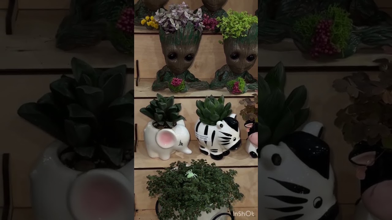 1 марта 2026 г.