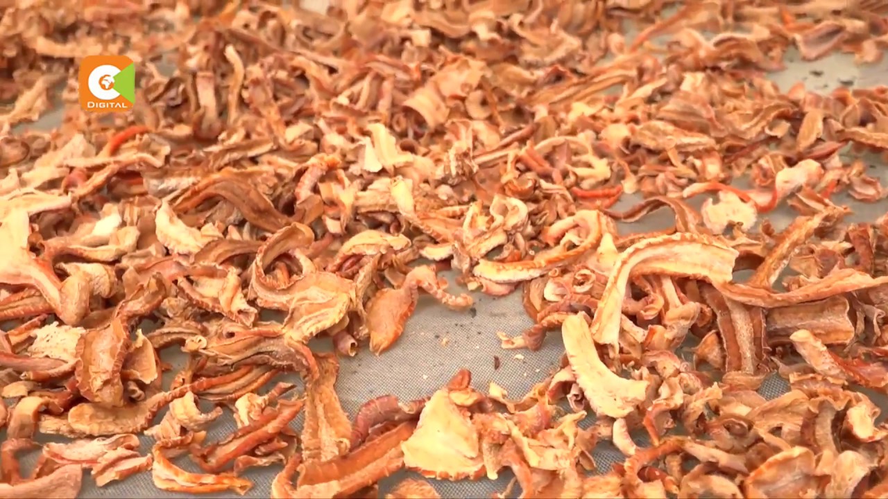 KILIMO BIASHARA | Uzalishaji wa mboga zilizokaushwa