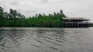 Anzali Lagoon-تالاب انزلی -national geographic