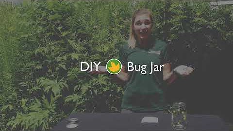 Summit Metro Parks DIY Bug Jar Video