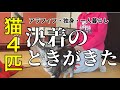 【家庭内別居】始まりから終わりまでこれが全部です。そして今思うこと。