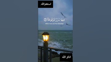 في جنة عالية لا تسمع فيها لاغية 🌸ايات من سورة الغاشية