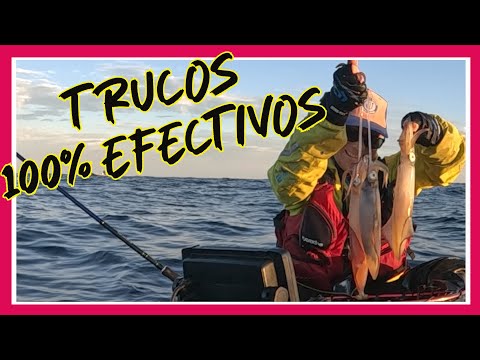 La pesca del calamar; trucos y consejos – Pro Pesca