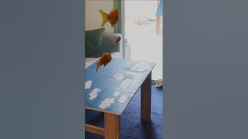 Fly free… #3d #blender #vfx #blender3d #animation #fish #motiontracking #originalmusic #blender3d