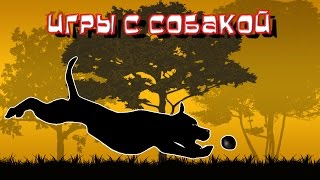 Игры с собакой | питбуль | амстафф | дрессировка собак(, 2015-08-08T15:18:12.000Z)