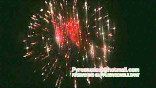 Fireworks sample show(shell)260