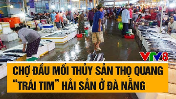 Muôn màu cuộc sống: Chợ đầu mối thủy sản Thọ Quang “Trái tim” hải sản ở Đà Nẵng
